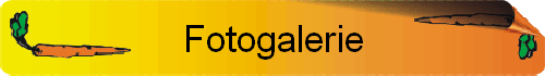 Fotogalerie