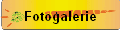 Fotogalerie