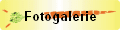 Fotogalerie