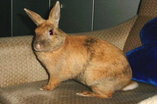 Das bin ich (wer auch sonst?)